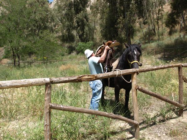 preparazione del cavallo.jpg